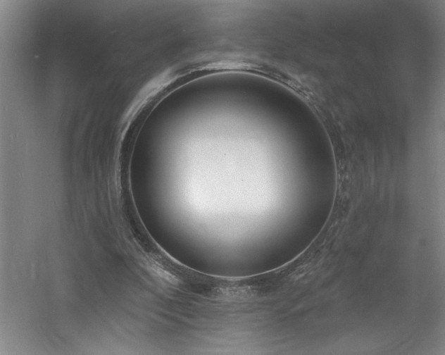 X0000060790296200511101426