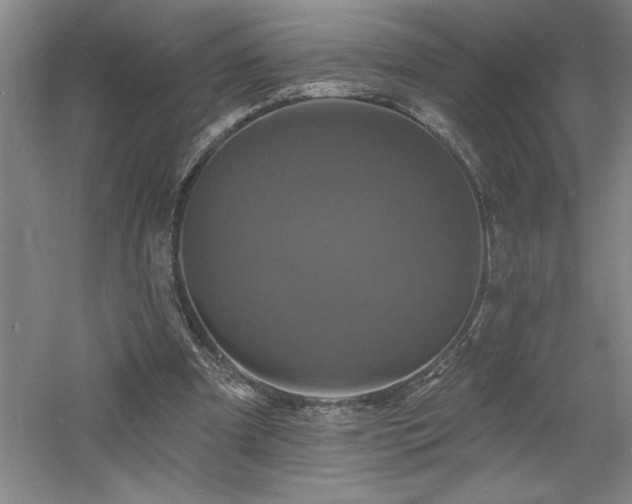 X0000060790297200511101426