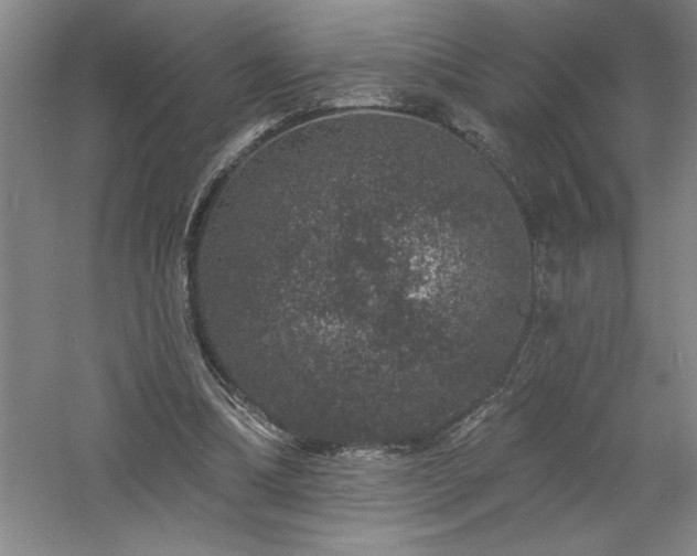 X0000060790298200511101426