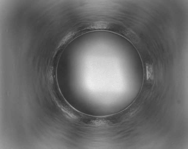 X0000060790300200511101426