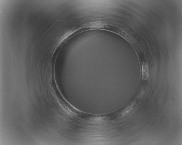 X0000060790301200511101425