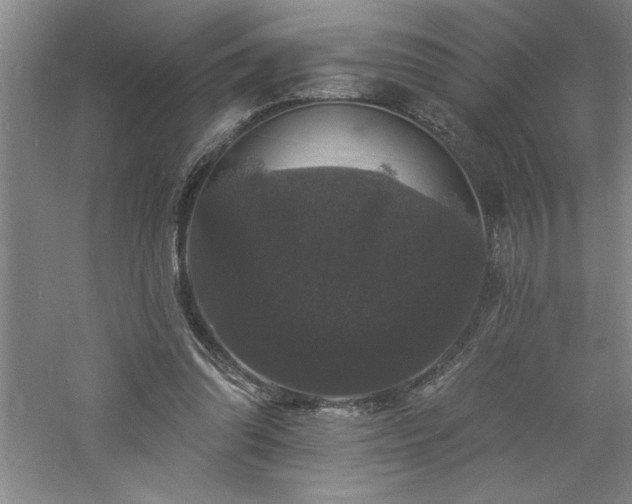 X0000060790302200511101425