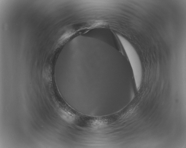 X0000060790303200511101425