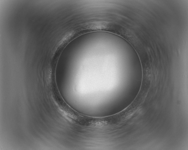 X0000060790304200511101425