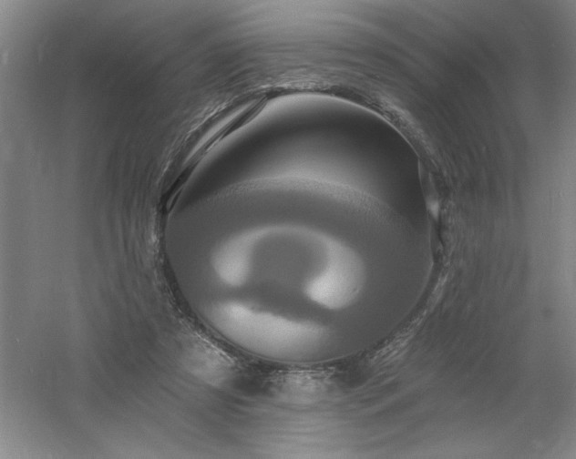 X0000060790305200511101425