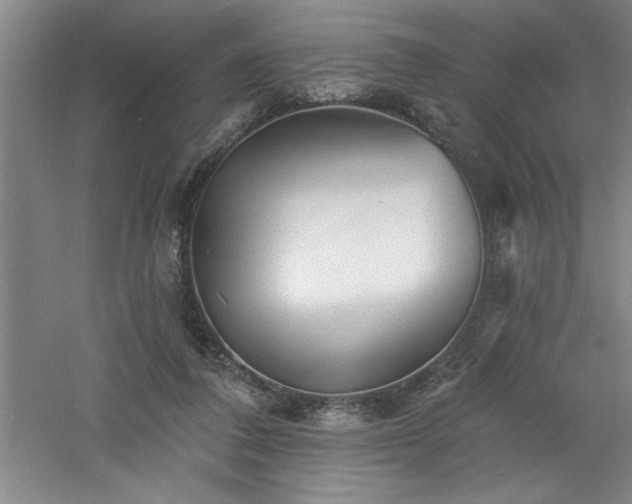 X0000060790308200511101425