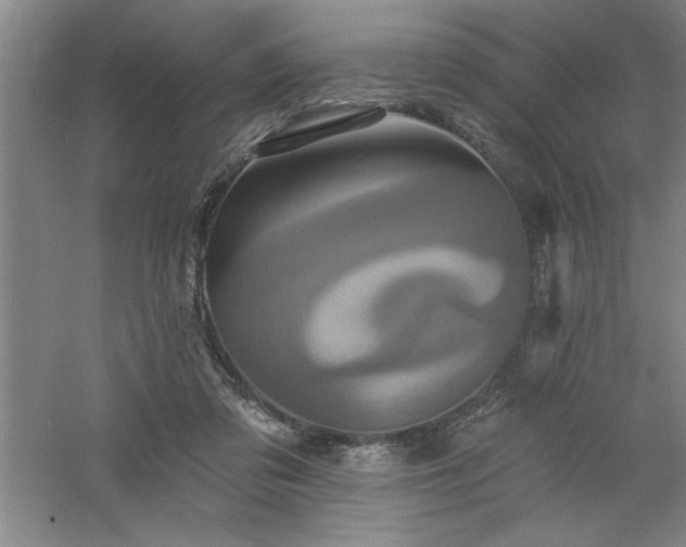 X0000060790309200511101425