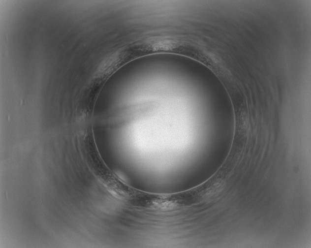 X0000060790311200511101425