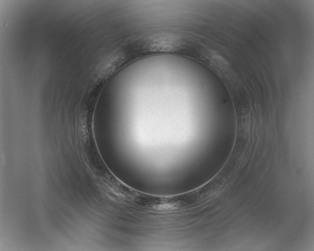 X0000060790312200511101425