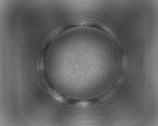 X0000060790313200511101425