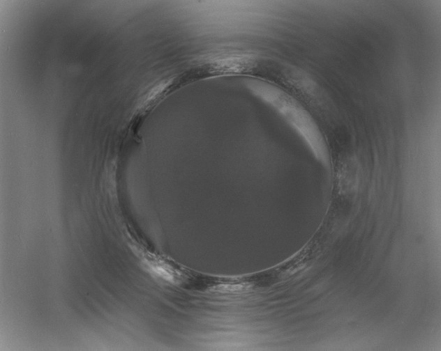 X0000060790314200511101425