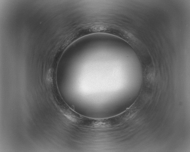 X0000060790315200511101425