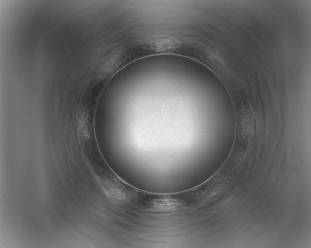 X0000060790316200511101425