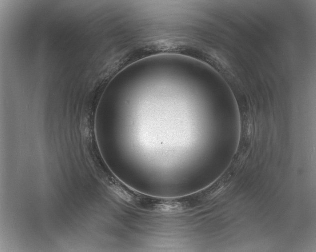 X0000060790317200511101425