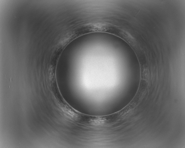 X0000060790318200511101425