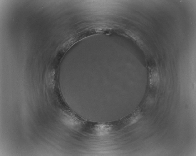 X0000060790319200511101425