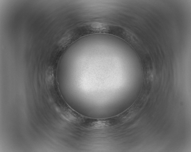 X0000060790320200511101425