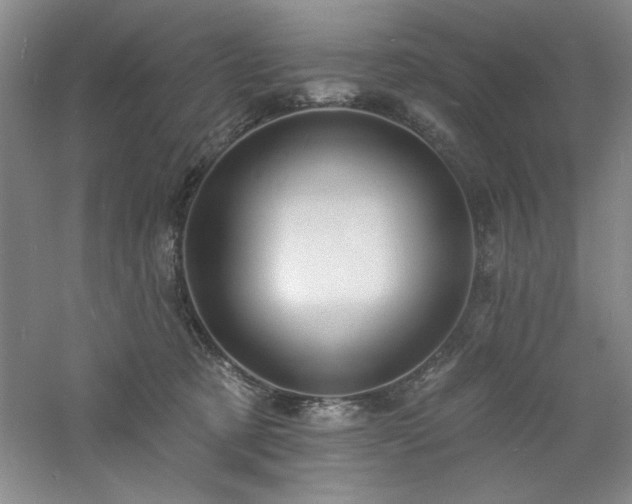 X0000060790321200511101425