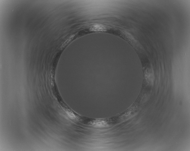 X0000060790322200511101425