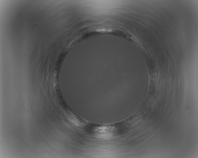 X0000060790323200511101425