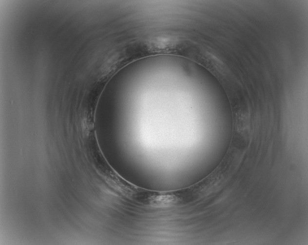 X0000060790324200511101425