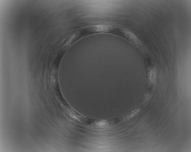 X0000060790325200511101425