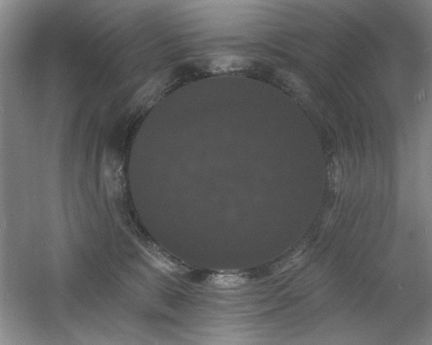 X0000060790327200511101425