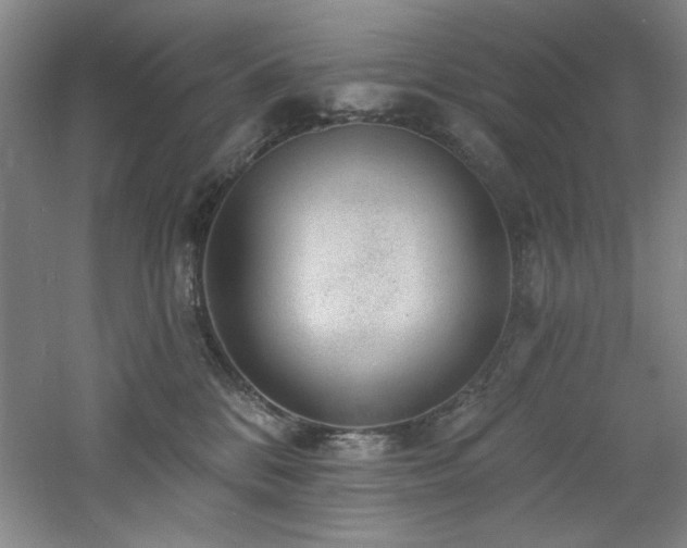 X0000060790328200511101425