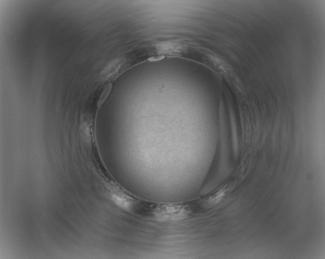 X0000060790329200511101425