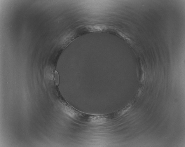 X0000060790331200511101425