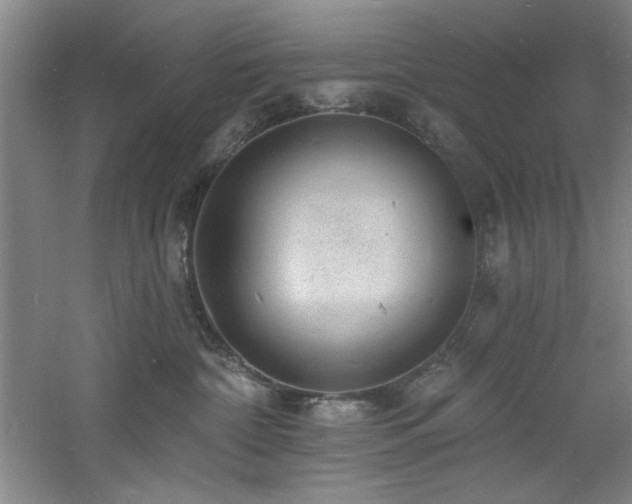 X0000060790332200511101425