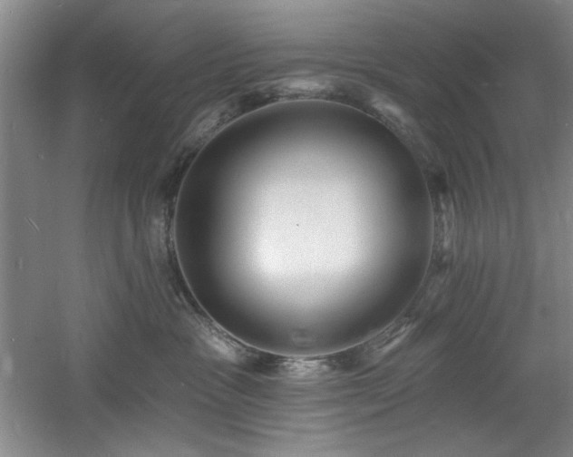 X0000060790333200511101425