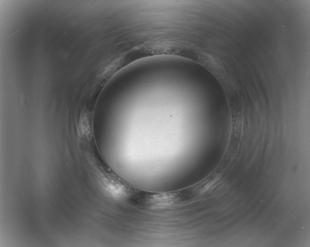 X0000060790335200511101425