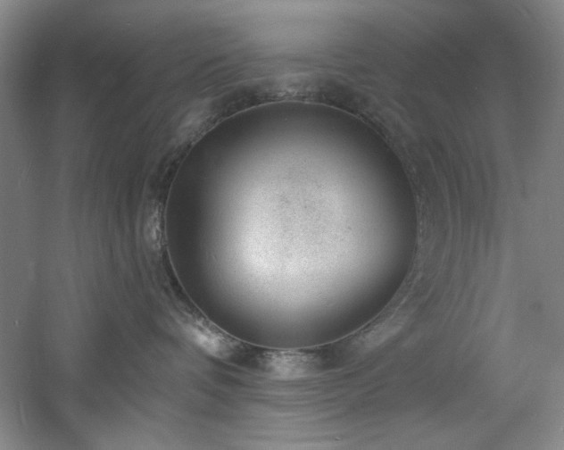 X0000060790336200511101425