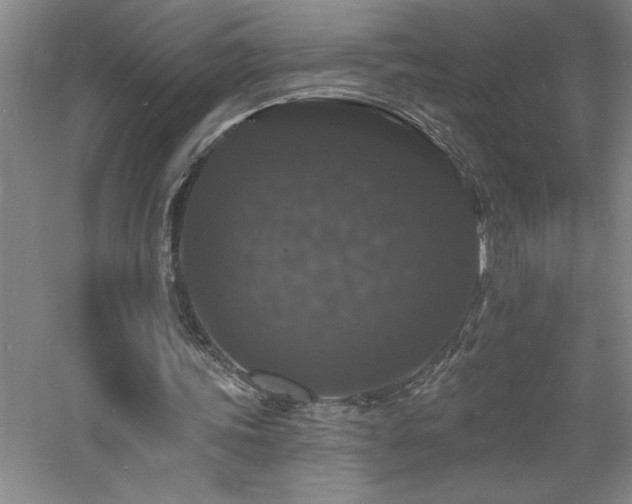 X0000060790339200511101424