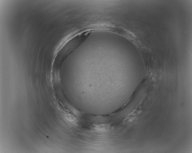 X0000060790340200511101424