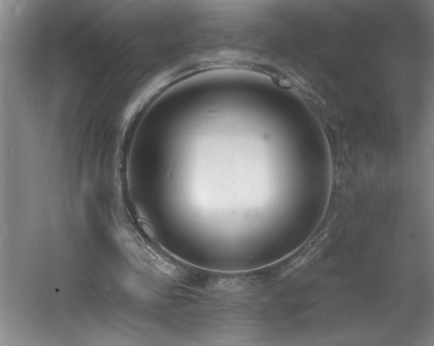 X0000060790341200511101424