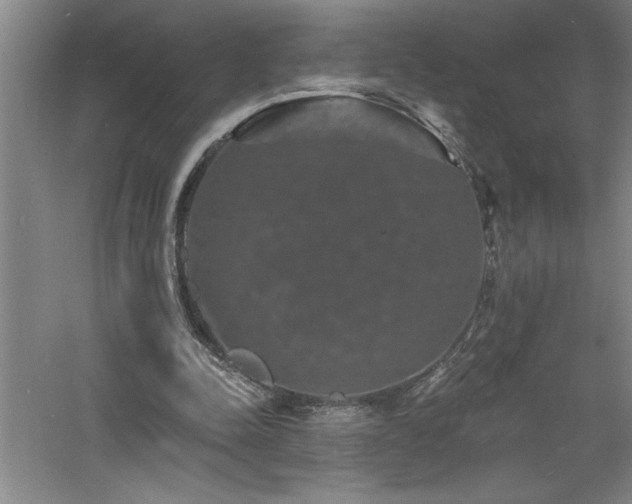 X0000060790342200511101424