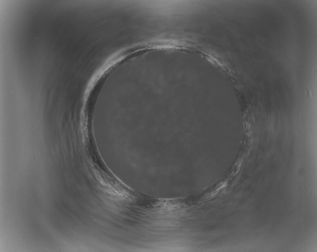 X0000060790343200511101424