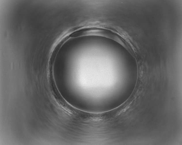 X0000060790344200511101424