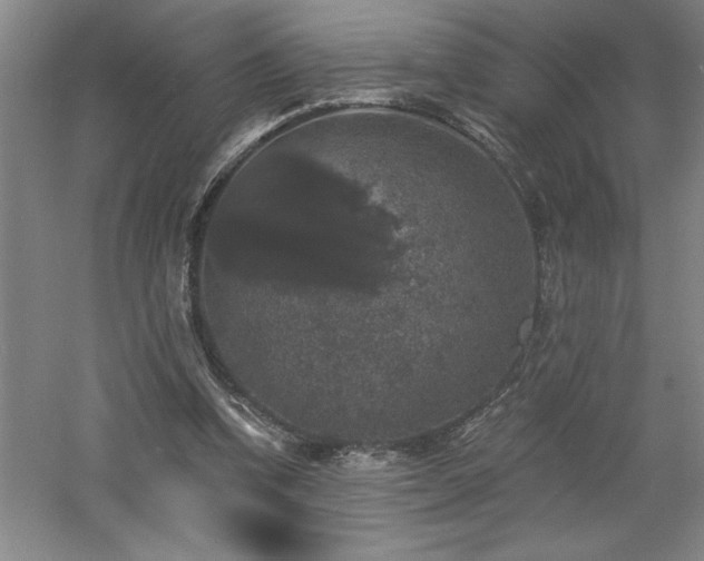 X0000060790346200511101424