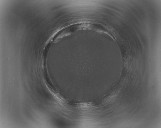 X0000060790347200511101424