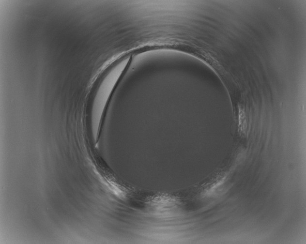 X0000060790348200511101424