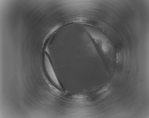 X0000060790349200511101424