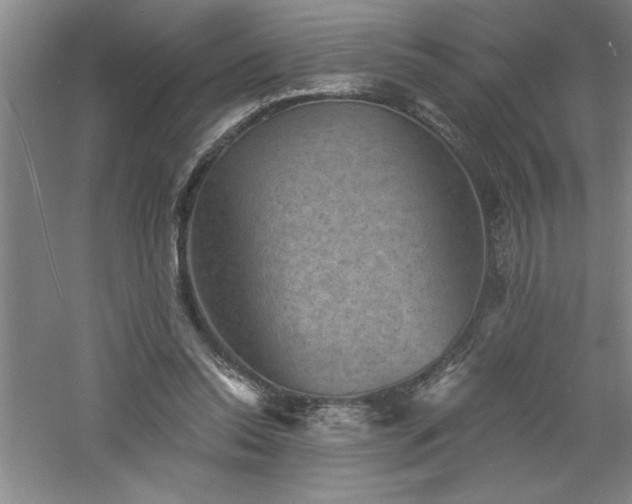 X0000060790350200511101424