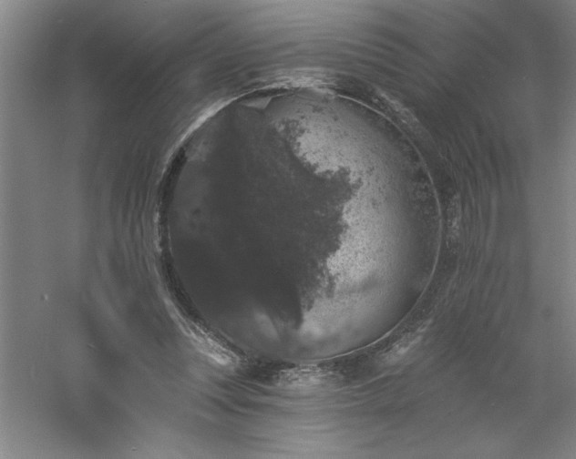 X0000060790351200511101424