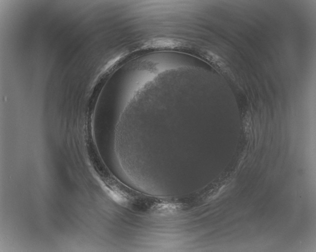 X0000060790352200511101424