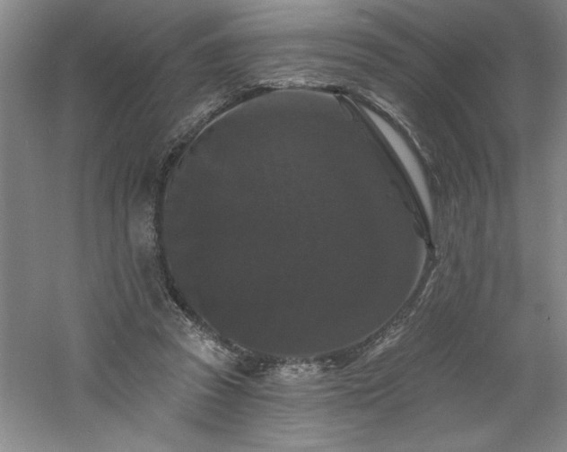 X0000060790353200511101424