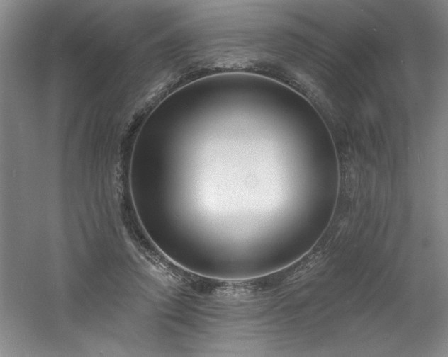 X0000060790354200511101424