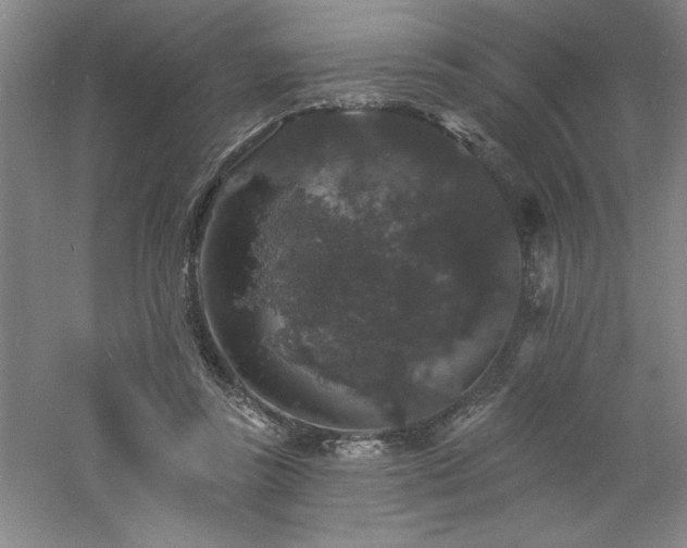 X0000060790355200511101424